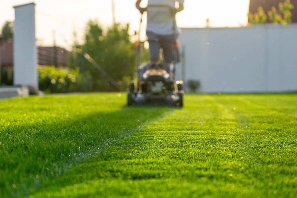 green grass cutting with lawn mower in home garden.