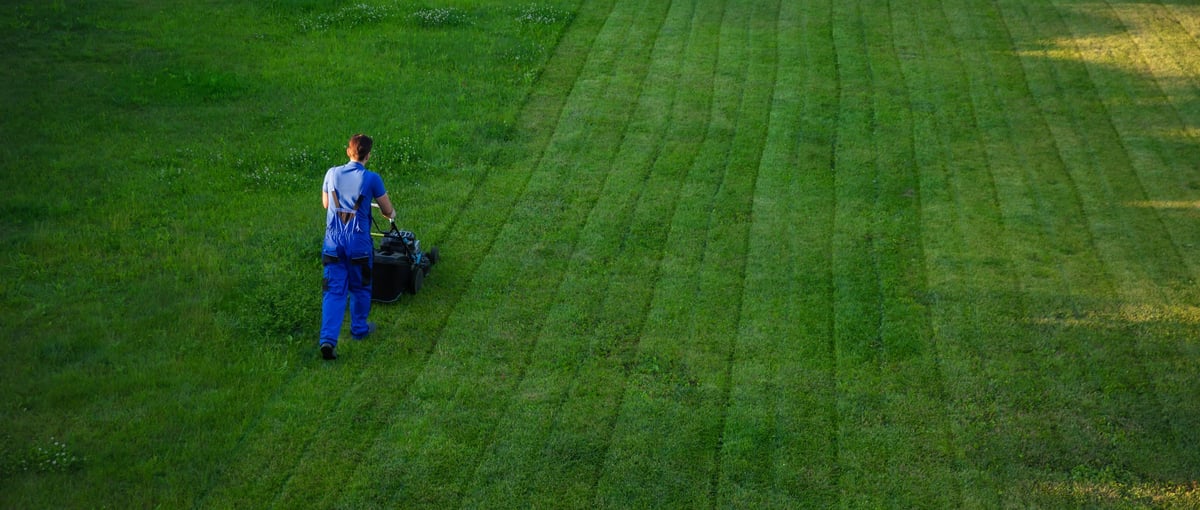 A man in blue work attire mows a large green lawn, viewed from above, creating neat, parallel lines in the grass. The expansive greenery emphasizes the scale of the outdoor maintenance task.
